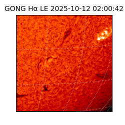 gong - 2025-10-12T02:00:42