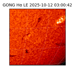 gong - 2025-10-12T03:00:42