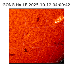 gong - 2025-10-12T04:00:42