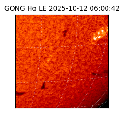 gong - 2025-10-12T06:00:42