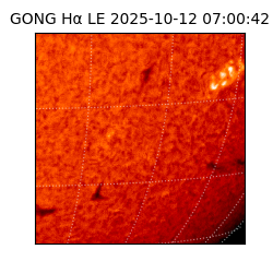 gong - 2025-10-12T07:00:42