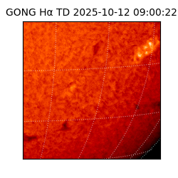 gong - 2025-10-12T09:00:22