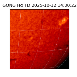 gong - 2025-10-12T14:00:22