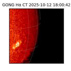 gong - 2025-10-12T18:00:42