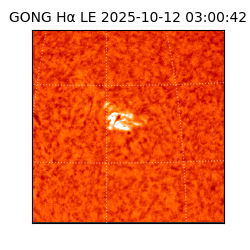 gong - 2025-10-12T03:00:42