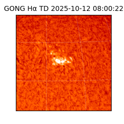 gong - 2025-10-12T08:00:22