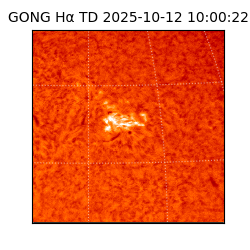 gong - 2025-10-12T10:00:22