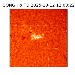 gong - 2025-10-12T12:00:22