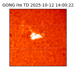 gong - 2025-10-12T14:00:22