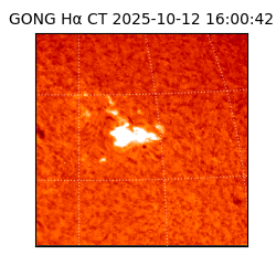gong - 2025-10-12T16:00:42