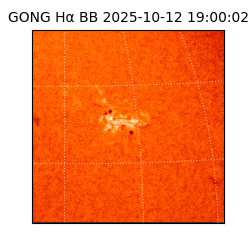 gong - 2025-10-12T19:00:02