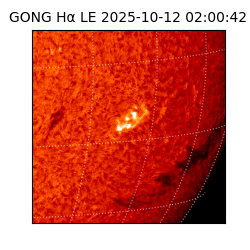 gong - 2025-10-12T02:00:42