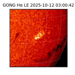 gong - 2025-10-12T03:00:42