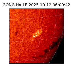gong - 2025-10-12T06:00:42
