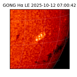 gong - 2025-10-12T07:00:42
