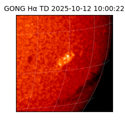 gong - 2025-10-12T10:00:22