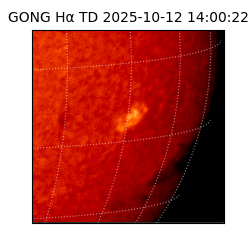 gong - 2025-10-12T14:00:22