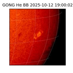 gong - 2025-10-12T19:00:02