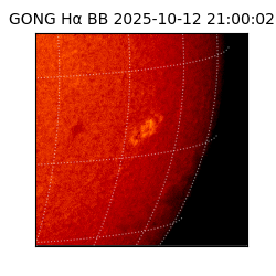 gong - 2025-10-12T21:00:02