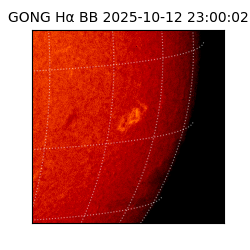 gong - 2025-10-12T23:00:02