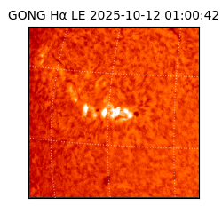 gong - 2025-10-12T01:00:42