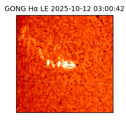 gong - 2025-10-12T03:00:42