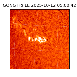 gong - 2025-10-12T05:00:42