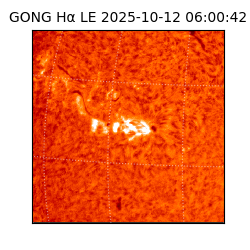 gong - 2025-10-12T06:00:42