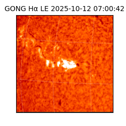 gong - 2025-10-12T07:00:42