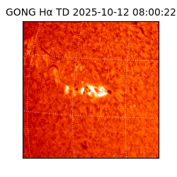 gong - 2025-10-12T08:00:22