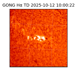 gong - 2025-10-12T10:00:22