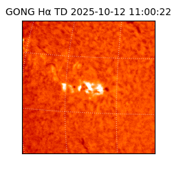 gong - 2025-10-12T11:00:22