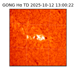 gong - 2025-10-12T13:00:22