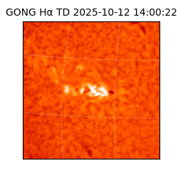 gong - 2025-10-12T14:00:22