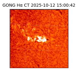 gong - 2025-10-12T15:00:42