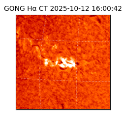 gong - 2025-10-12T16:00:42