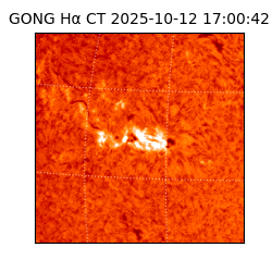 gong - 2025-10-12T17:00:42