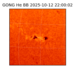 gong - 2025-10-12T22:00:02