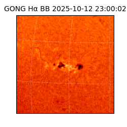 gong - 2025-10-12T23:00:02