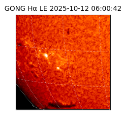 gong - 2025-10-12T06:00:42