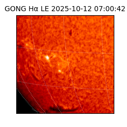 gong - 2025-10-12T07:00:42