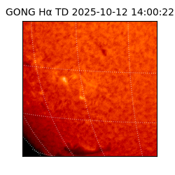 gong - 2025-10-12T14:00:22