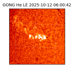 gong - 2025-10-12T06:00:42