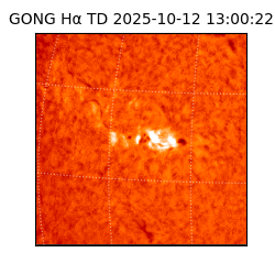 gong - 2025-10-12T13:00:22