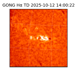 gong - 2025-10-12T14:00:22