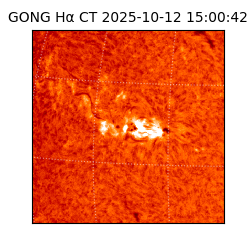 gong - 2025-10-12T15:00:42