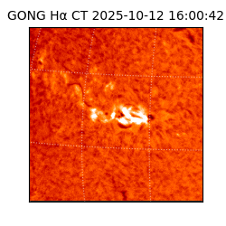 gong - 2025-10-12T16:00:42