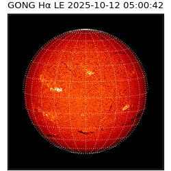 gong - 2025-10-12T05:00:42
