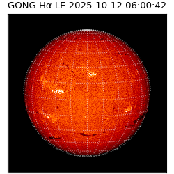 gong - 2025-10-12T06:00:42