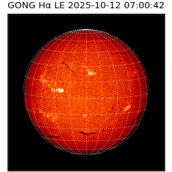 gong - 2025-10-12T07:00:42